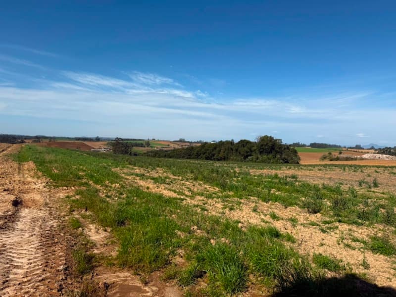 Foto 14 de 22: Terreno em leilão em Vidal Ramos - SC — LOTE 001 Imóvel