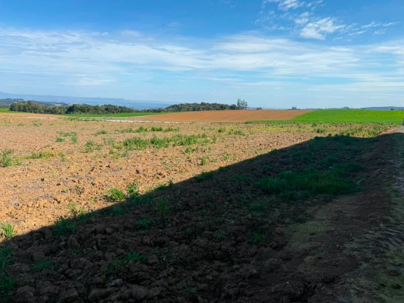 Foto 15 de 22: Terreno em leilão em Vidal Ramos - SC — LOTE 001 Imóvel
