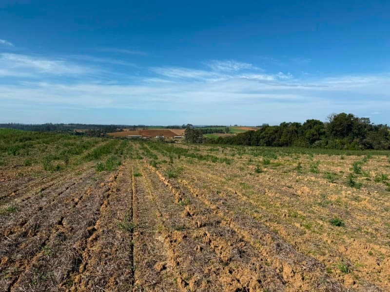 Foto 16 de 22: Terreno em leilão em Vidal Ramos - SC — LOTE 001 Imóvel