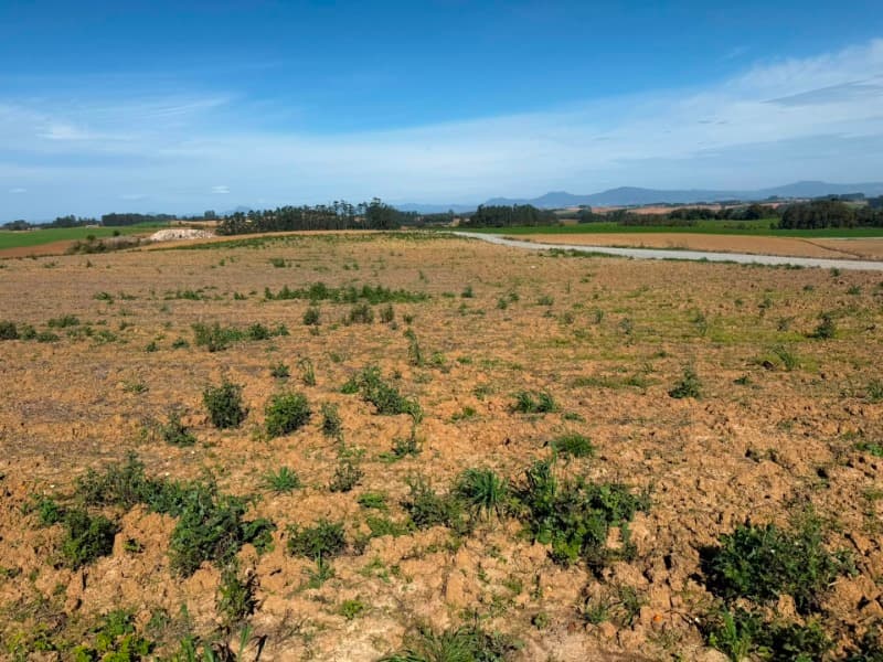 Foto 17 de 22: Terreno em leilão em Vidal Ramos - SC — LOTE 001 Imóvel