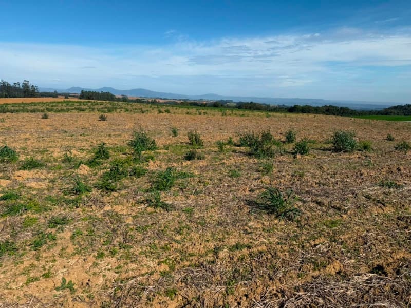 Foto 19 de 22: Terreno em leilão em Vidal Ramos - SC — LOTE 001 Imóvel