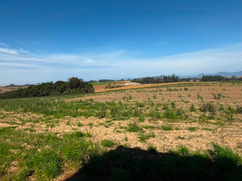 Foto 20 de 22: Terreno em leilão em Vidal Ramos - SC — LOTE 001 Imóvel