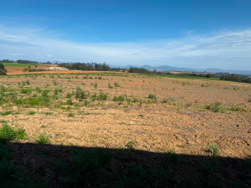 Foto 1 de 22: Terreno em leilão em Vidal Ramos - SC — LOTE 001 Imóvel