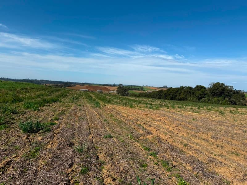 Foto 22 de 22: Terreno em leilão em Vidal Ramos - SC — LOTE 001 Imóvel
