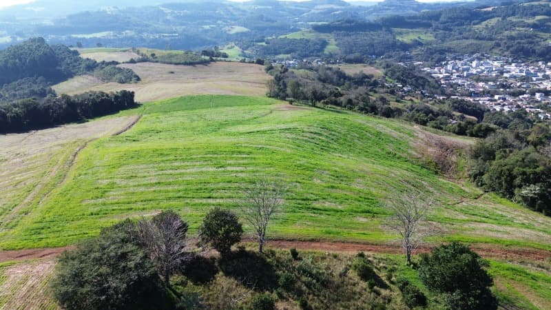 Foto 5 de 13: Area Rural em leilão em Aratiba - RS — LOTE 001 Imovel