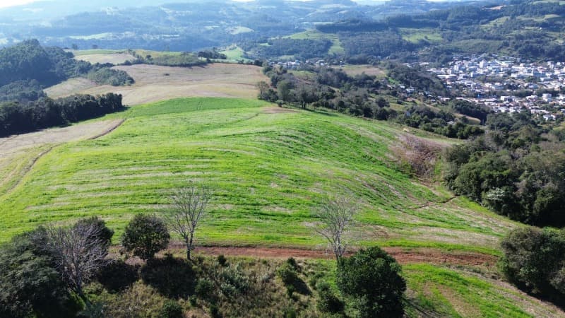 Foto 4 de 13: Area Rural em leilão em Aratiba - RS — LOTE 001 Imovel