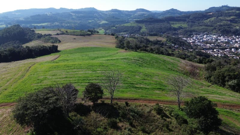 Foto 1 de 13: Area Rural em leilão em Aratiba - RS — LOTE 001 Imovel