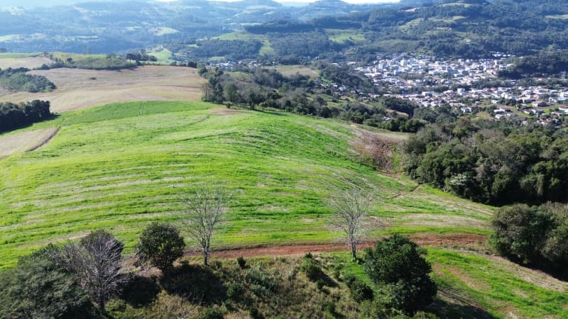 Foto 8 de 13: Area Rural em leilão em Aratiba - RS — LOTE 001 Imovel