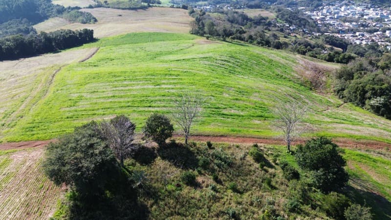 Foto 11 de 13: Area Rural em leilão em Aratiba - RS — LOTE 001 Imovel