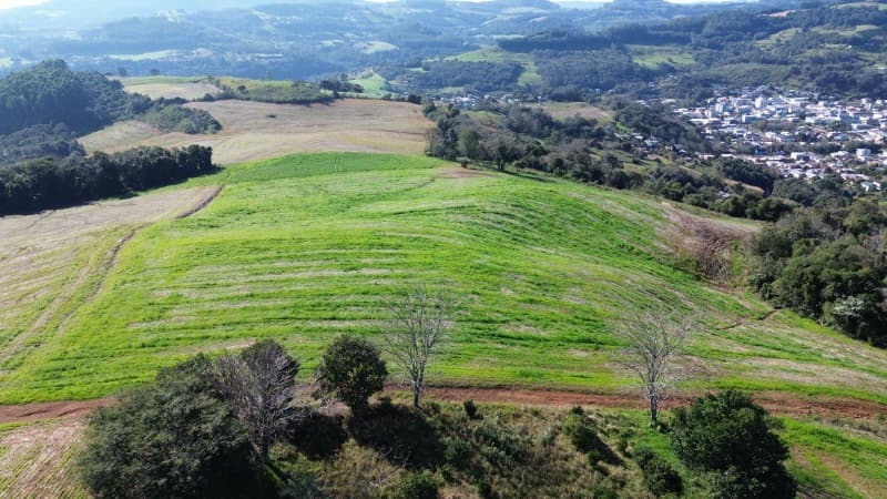Foto 13 de 13: Area Rural em leilão em Aratiba - RS — LOTE 001 Imovel