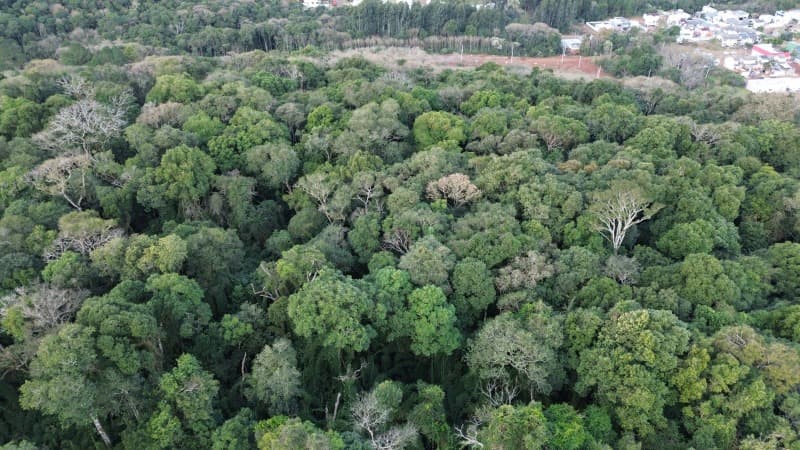 Foto 5 de 11: Terreno em leilão em Erechim - RS — LOTE 002 Imóvel