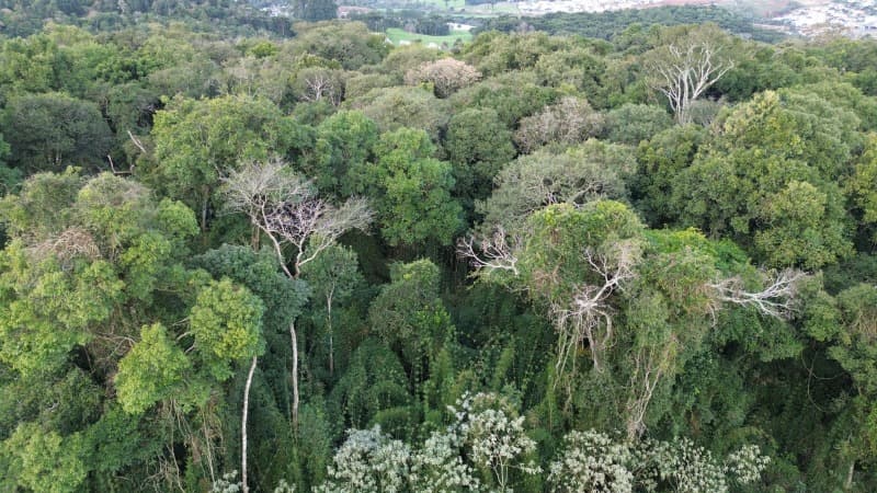 Foto 2 de 11: Terreno em leilão em Erechim - RS — LOTE 002 Imóvel