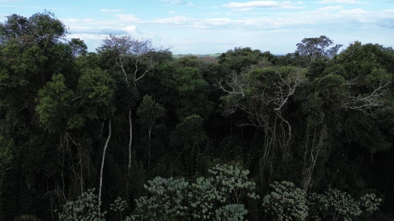 Foto 3 de 11: Terreno em leilão em Erechim - RS — LOTE 002 Imóvel