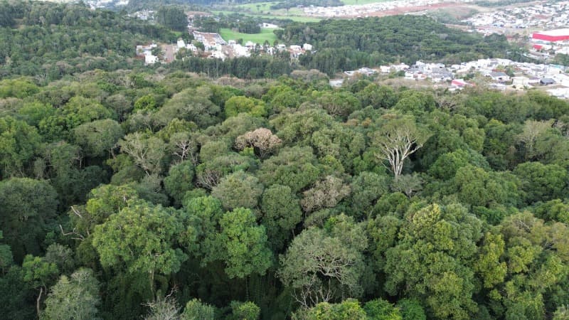 Foto 4 de 11: Terreno em leilão em Erechim - RS — LOTE 002 Imóvel