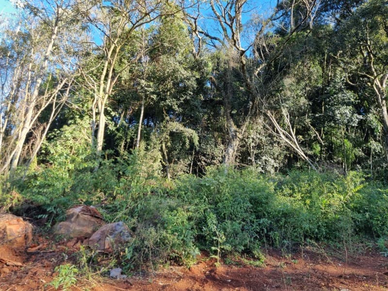 Foto 1 de 11: Terreno em leilão em Erechim - RS — LOTE 002 Imóvel