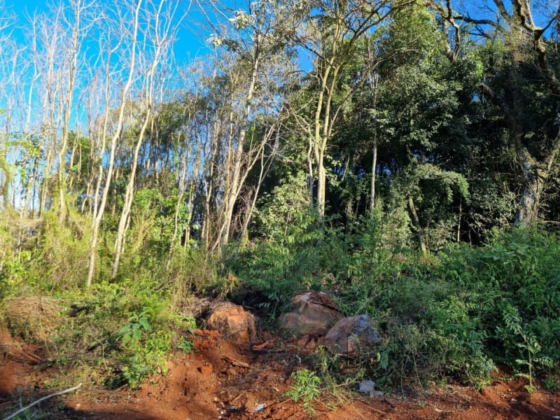 Foto 6 de 11: Terreno em leilão em Erechim - RS — LOTE 002 Imóvel
