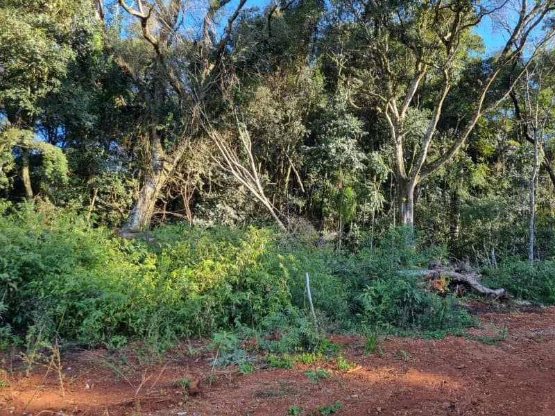 Foto 7 de 11: Terreno em leilão em Erechim - RS — LOTE 002 Imóvel