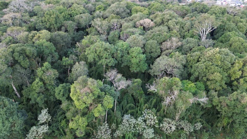 Foto 9 de 11: Terreno em leilão em Erechim - RS — LOTE 002 Imóvel