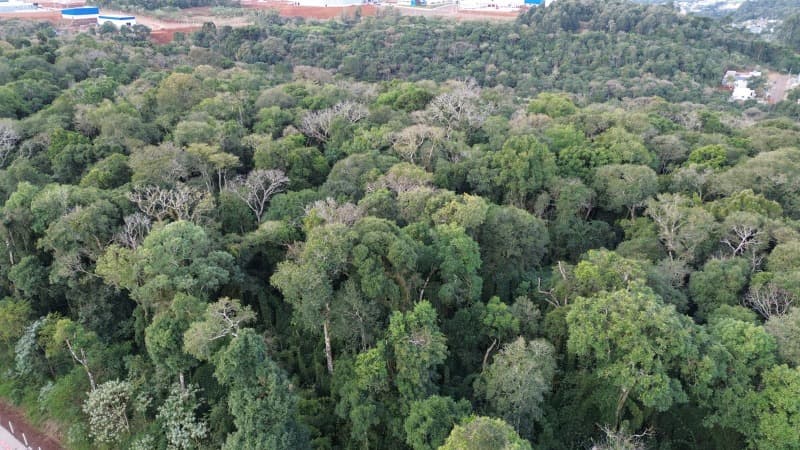 Foto 10 de 11: Terreno em leilão em Erechim - RS — LOTE 002 Imóvel
