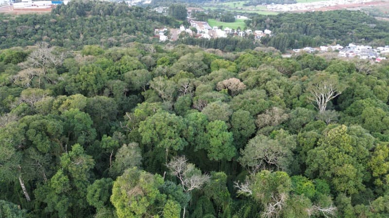 Foto 11 de 11: Terreno em leilão em Erechim - RS — LOTE 002 Imóvel