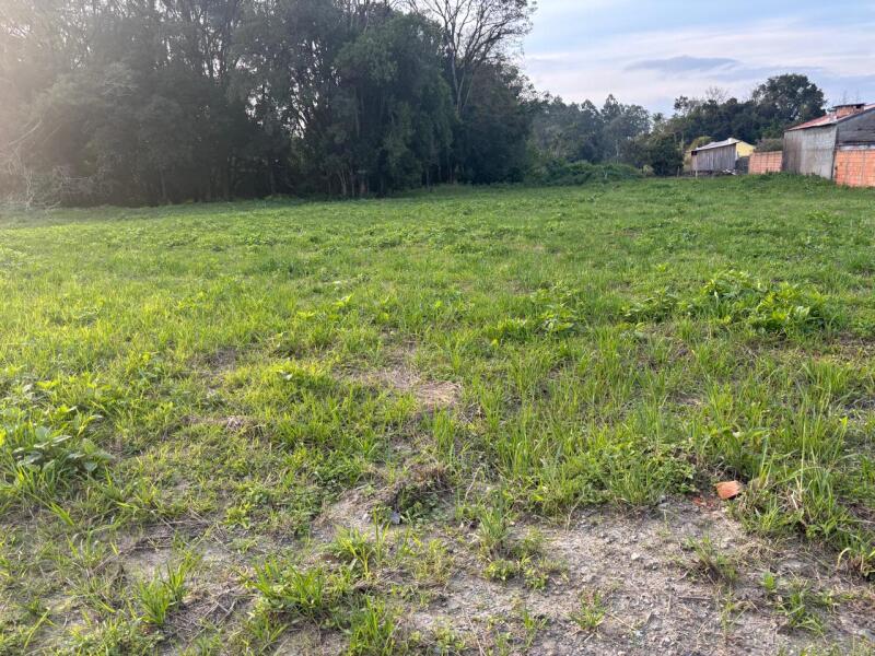 Foto 1 de 15: Terreno em leilão em Agrolândia - SC — LOTE 001 Imóvel
