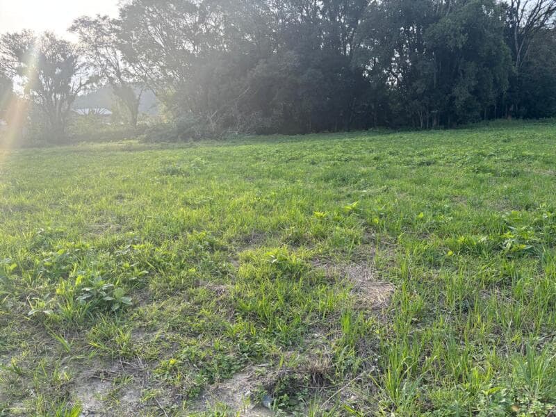 Foto 6 de 15: Terreno em leilão em Agrolândia - SC — LOTE 001 Imóvel