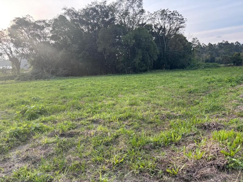 Foto 7 de 15: Terreno em leilão em Agrolândia - SC — LOTE 001 Imóvel
