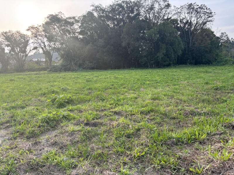 Foto 8 de 15: Terreno em leilão em Agrolândia - SC — LOTE 001 Imóvel