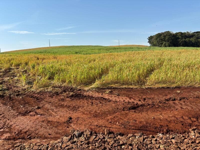 Foto 5 de 11: Terreno em leilão em Coxilha - RS — LOTE 001-2 Imóvel