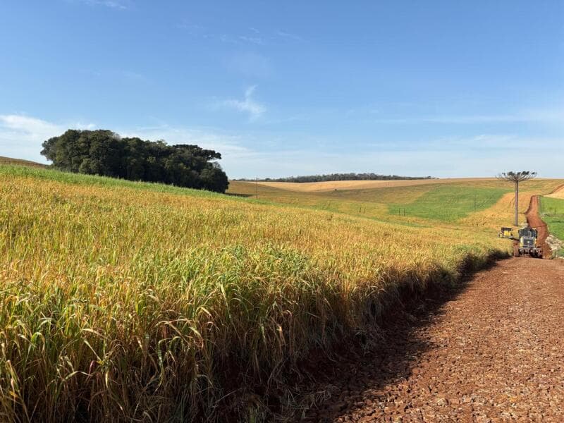 Foto 6 de 11: Terreno em leilão em Coxilha - RS — LOTE 001-2 Imóvel