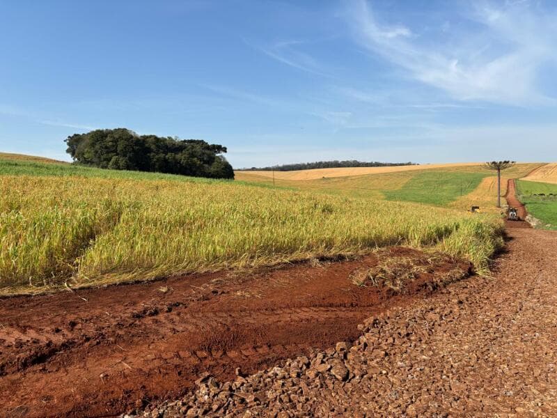 Foto 8 de 11: Terreno em leilão em Coxilha - RS — LOTE 001-2 Imóvel