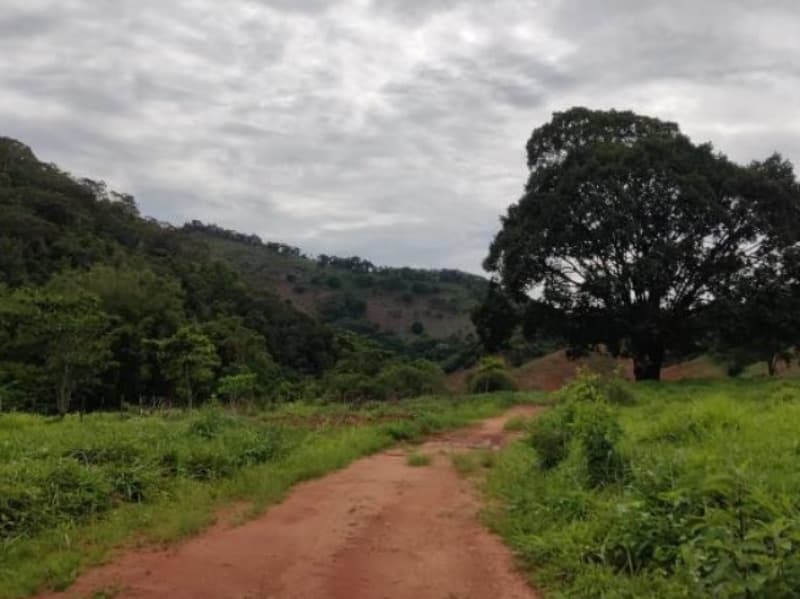 Foto 4 de 13: Area Rural em leilão em Virginópolis - MG — LOTE 001 Imóvel