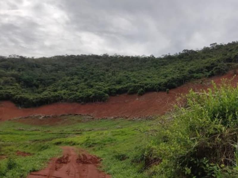 Foto 5 de 13: Area Rural em leilão em Virginópolis - MG — LOTE 001 Imóvel