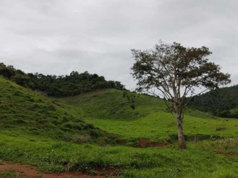 Foto 10 de 13: Area Rural em leilão em Virginópolis - MG — LOTE 001 Imóvel