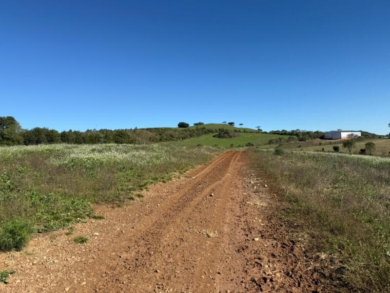 Foto 11 de 20: Terreno em leilão em Soledade - RS — LOTE 006 imóvel