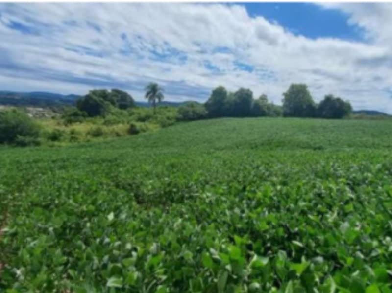 Terreno em leilão em Camargo - RS — LOTE 012 Imovel