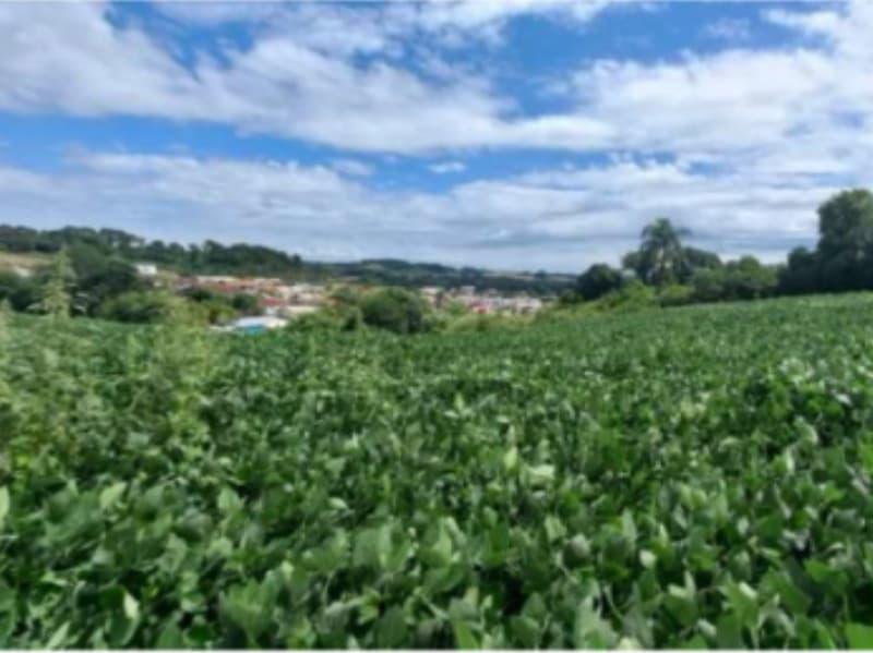 Terreno em leilão em Camargo - RS — LOTE 001 Imóvel