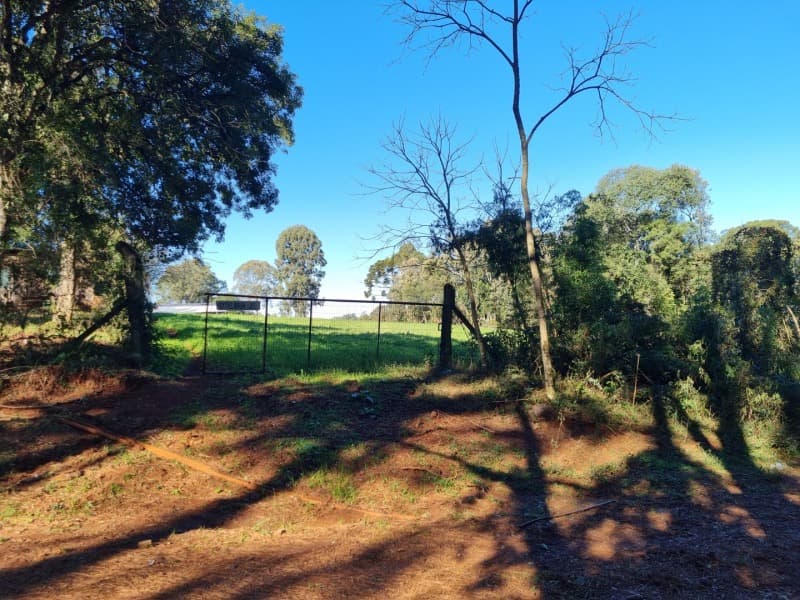 Foto 7 de 19: Terreno em leilão em Erechim - RS, bairro Paiol Grande — LOTE 001 Imovel