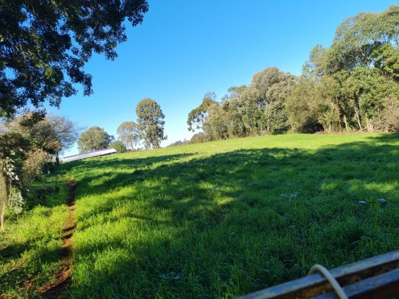 Foto 11 de 19: Terreno em leilão em Erechim - RS, bairro Paiol Grande — LOTE 001 Imovel