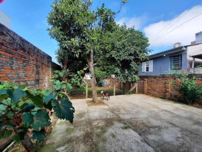 Foto 18 de 22: Terreno em leilão em Passo Fundo - RS, bairro Vila Schell — LOTE 001 Imóvel