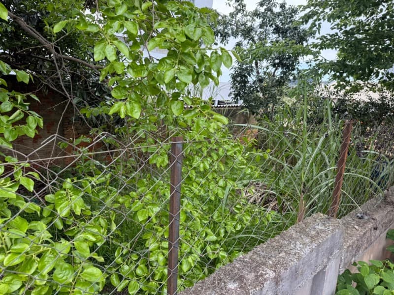 Foto 5 de 11: Terreno em leilão em Passo Fundo - RS, bairro Vila Schell — LOTE 001 Imóvel