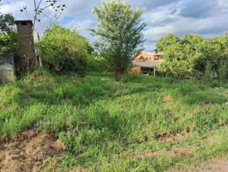 Foto 1 de 4: Terreno em leilão em Parobé - RS — LOTE 005 Imóvel