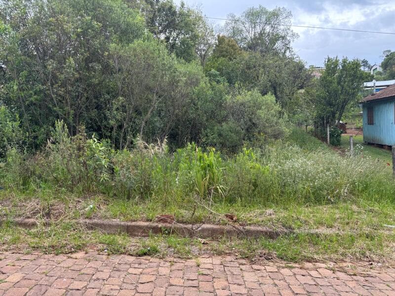Foto 5 de 7: Terreno em leilão em Ciríaco - RS — LOTE 006 Imovel