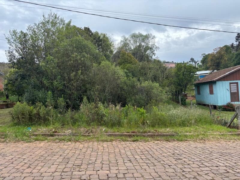 Foto 3 de 7: Terreno em leilão em Ciríaco - RS — LOTE 006 Imovel