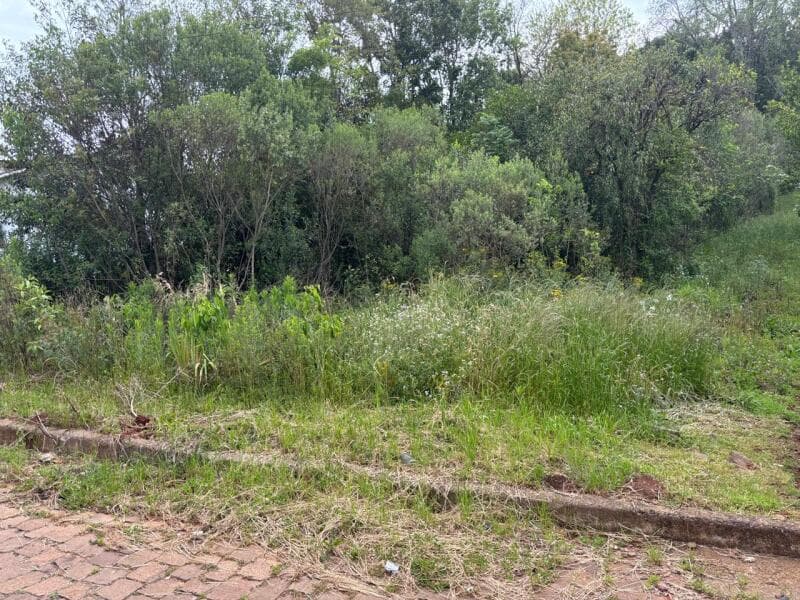 Foto 4 de 7: Terreno em leilão em Ciríaco - RS — LOTE 006 Imovel