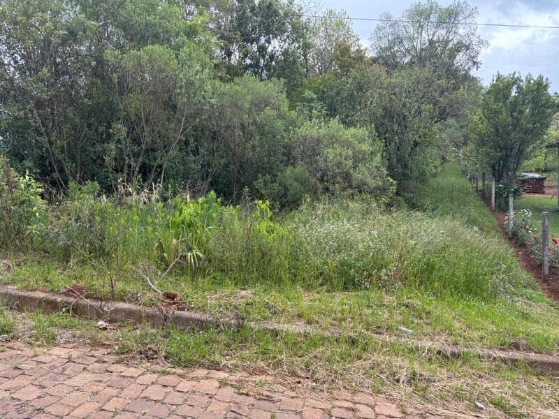 Foto 1 de 7: Terreno em leilão em Ciríaco - RS — LOTE 006 Imovel