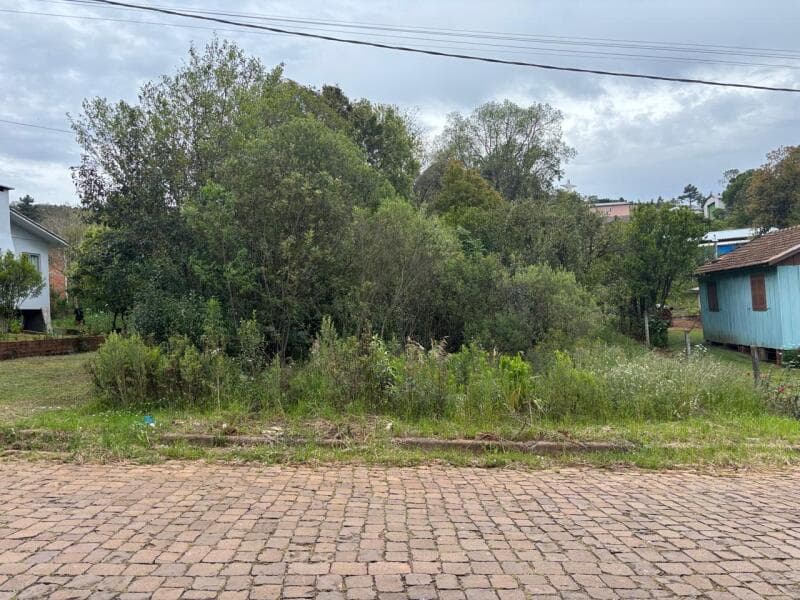 Foto 7 de 7: Terreno em leilão em Ciríaco - RS — LOTE 006 Imovel