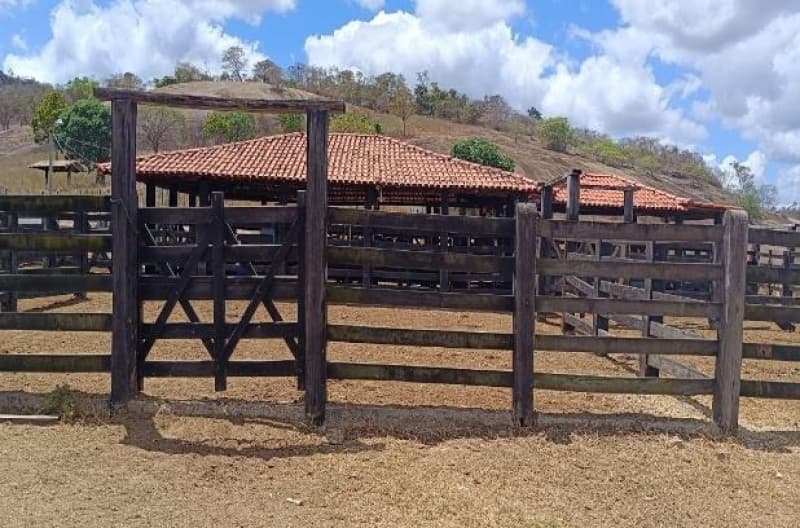 Foto 3 de 11: Area Rural em leilão em Pedra Azul - MG — LOTE 001 Imóvel
