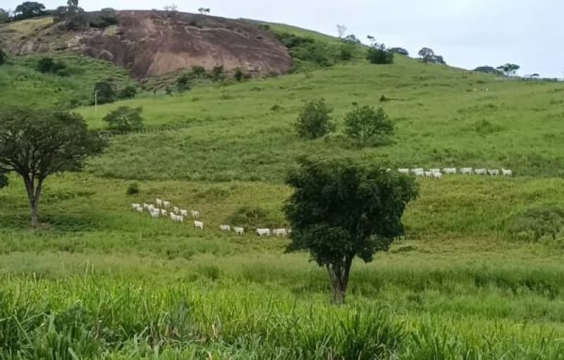 Foto 8 de 11: Area Rural em leilão em Pedra Azul - MG — LOTE 001 Imóvel
