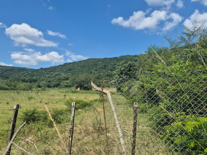 Foto 4 de 7: Area Rural em leilão em Porto Alegre - RS, bairro Restinga — LOTE 001 ÁREA DE TERRAS COM 11 HECTARES NO BAIRRO RESTINGA